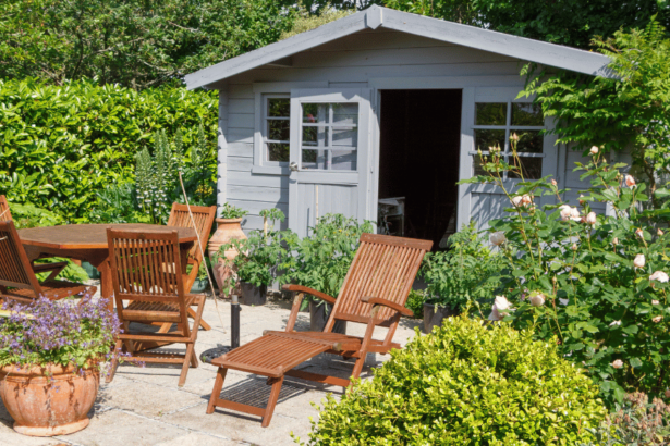 Shed House_ Transforming Simple Spaces into Stylish Dwellings