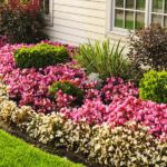 Pink Rose Garden 2024 DIY Trends Blooming in Every Backyard