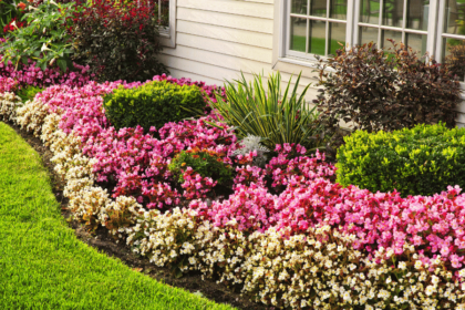 Pink Rose Garden 2024 DIY Trends Blooming in Every Backyard