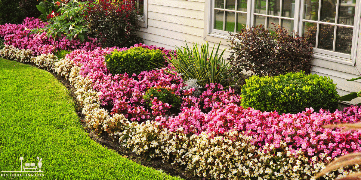 Pink Rose Garden 2024 DIY Trends Blooming in Every Backyard